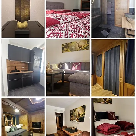 Fewo's Und Apartment's Blaues Haus 아파트 다보스